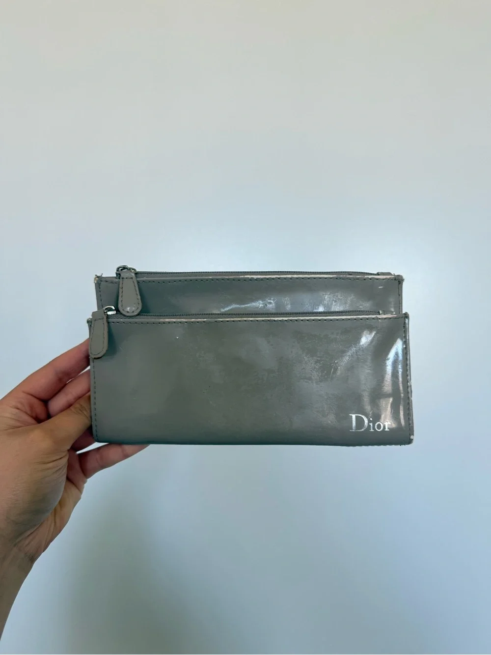 DIOR Zip Wallet/Pouch